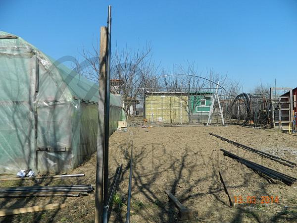 DSCN3397