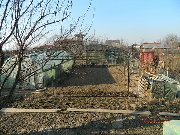DSCN3417