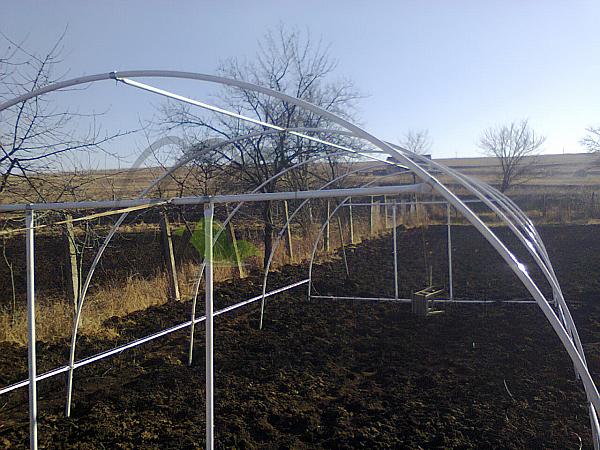 Photo1054