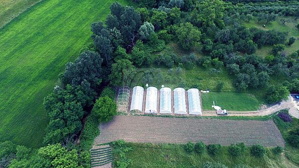 DJI 0602