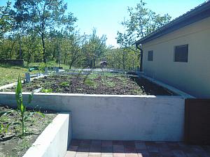 IMG 20140828 142054
