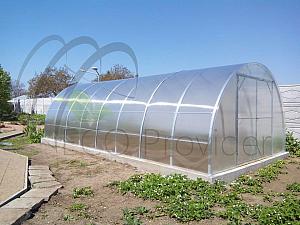 Sera policarbonat 33 mp (4 x 8.4 m)