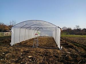 IMG 15112014 145933 resize