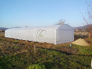 IMG 15112014 153725 resize