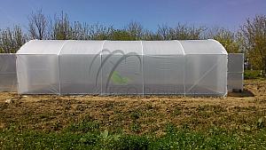 Foto 31