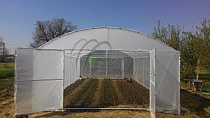 Foto 34