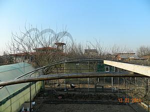 DSCN3404