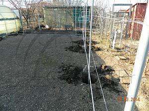 DSCN3478