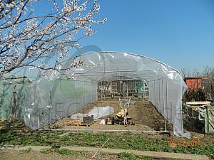 DSCN3504