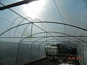 DSCN3509