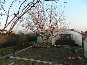 DSCN3538