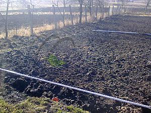 Photo1047