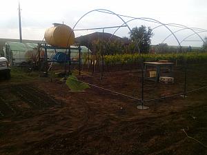 IMG-20150531-WA0010