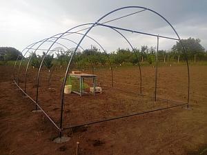 IMG-20150531-WA0016