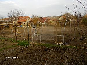 HPIM6985
