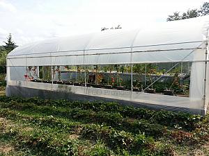 Solar Hobby 50 mp (5 x 10 m)