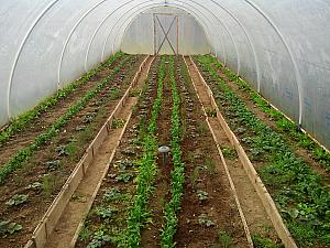 IMG 20140221 102900