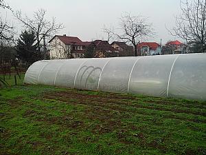 IMG 20140221 102939