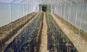 IMG 20140505 170838