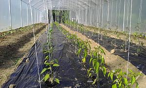 IMG 20140505 170849