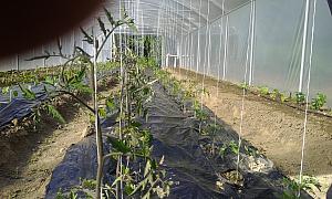 IMG 20140505 170912