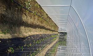 IMG 20140505 170923