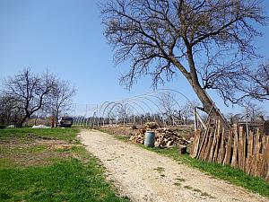 DSC00124