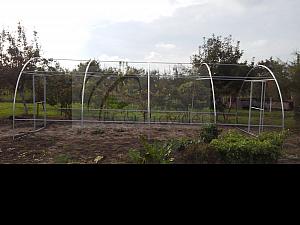 IMG 20151018 160216